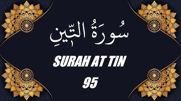 محمد الفقية - سورة التين (95)