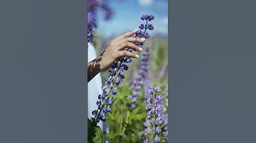 Discovering Logotherapy: Finding Meaning in Life