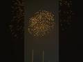 HAPPY DIWALI!!! #trendingshorts #ytshorts #diwali #crackers #nightcrackers