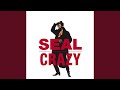 Miniature de la vidéo de la chanson Crazy (William Orbit Mix)