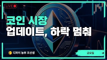 [돈이 보인다] 코인 시장에 무슨일이? 알트코인, 비트코인 전망