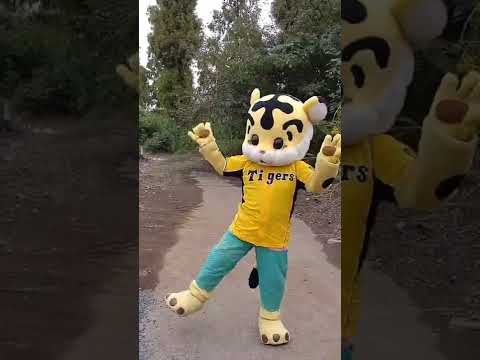 阪神タイガース　六甲おろしを踊るがんま