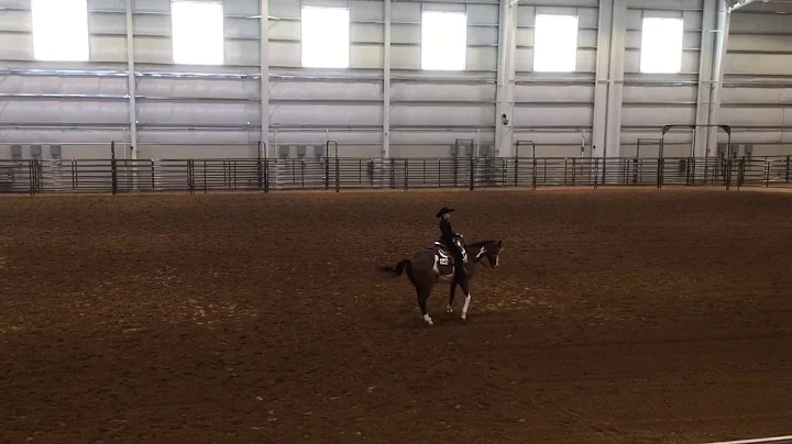 9 Horsemanship