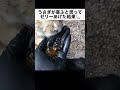 うさぎが喜ぶと思ってゼリーをあげた結果…