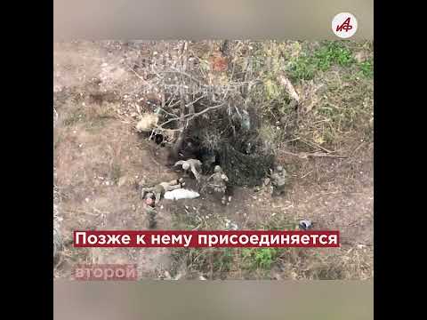 Бои! Самые заметные кадры недели СВО