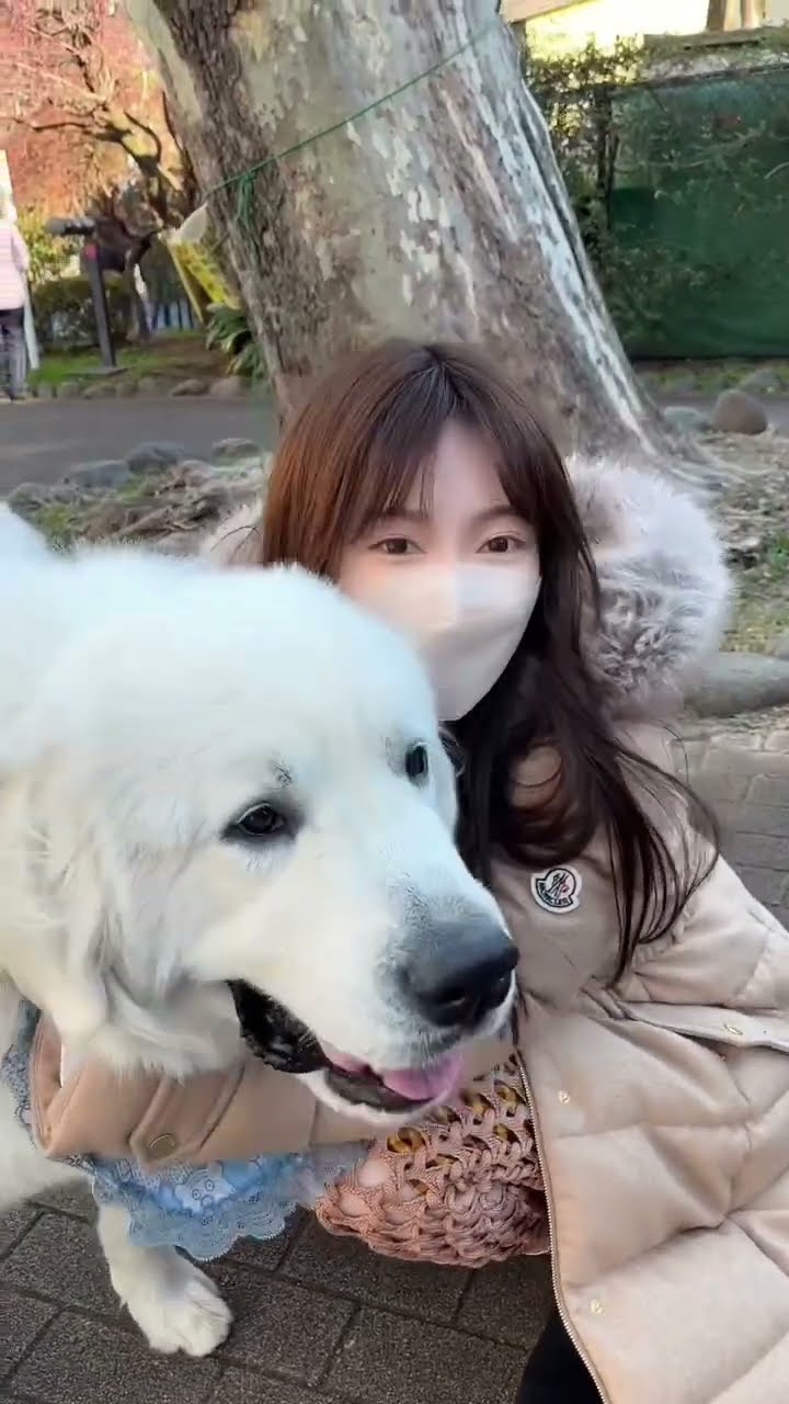 ぱるる❣️ 3個 ぱるるーむ - YouTube