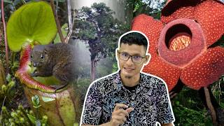 Selain Pakma, Ini 2 Lagi Pokok Rare Malaysia