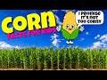 Corn Knowledge Quiz