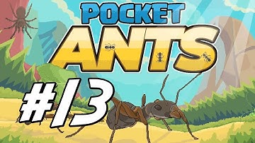 Pocket Ants - 13 - "First Three Star Creature"