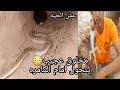 امساك مخلوق يتحول الى 4الوان سبحان الله البحث على بيوض الأفاعي