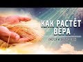 Проповедь -  Как растет вера -  Игорь Косован