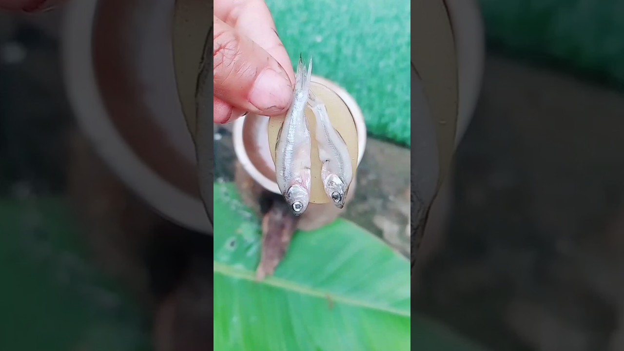 mini fish fry vs panipuri 🥰 