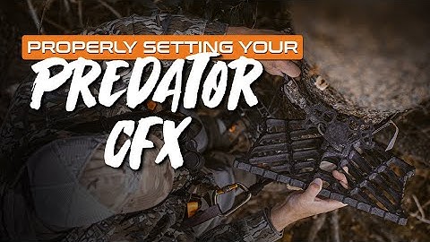 How to Properly Set The CFX Platform