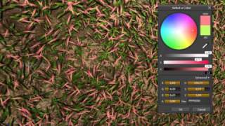 UDK - Parallax Grass Texture