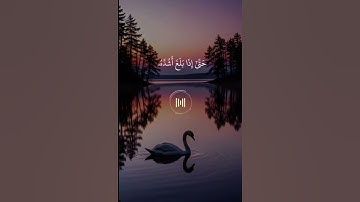 قرآن كريم ✨