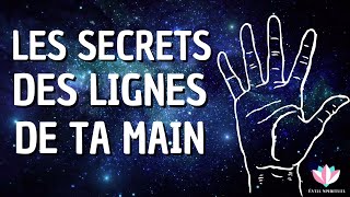 Comment Lire Les Lignes De La Main ?