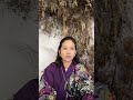 偽物がバレる時代#ユタ #ゆーうがみさー #直感コンサルタント #スピリチュアル #占い #霊視 #沖縄