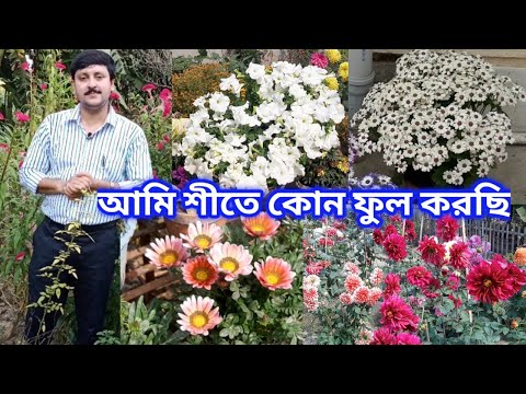 ভিডিও: ফুলের বাগানের জন্য সেরা বহুবর্ষজীবী