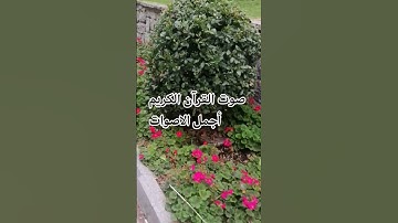 سوره الواقعه ♥️اللهم اجعل القرآن ربيع قلوبنا ونور صدورنا # #راحة_نفسية #المصحف#تيك_توك #تصويري