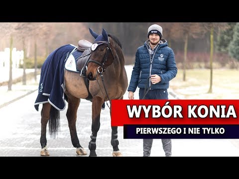 Wideo: Jak Wybrać Konia