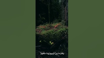 سورة الكرسي القارئ ياسر الدوسري 