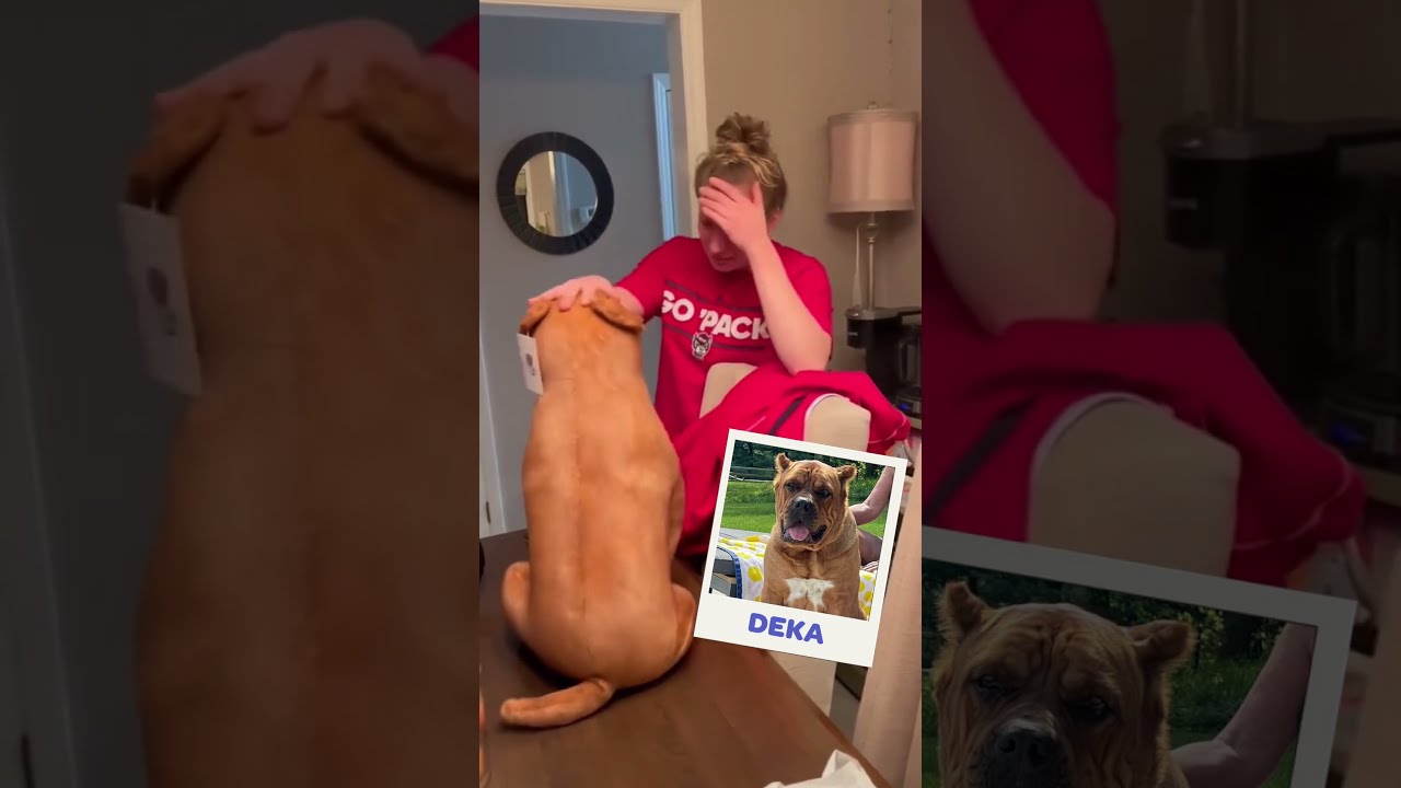 Pet Owners React To Plushies Of Their Pets That Passed Cuddleclones Petloss Grief Dog