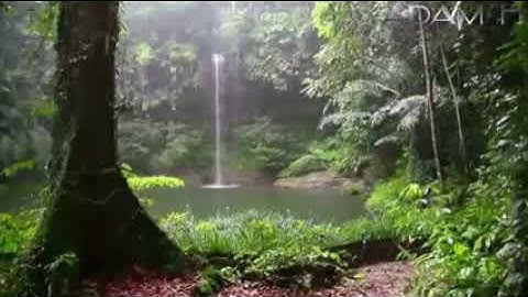 احزن تلاوه بالطور العراقي للحاج عامر الكاظمي سوره مريم والنصر والمسد والاخلاص تجويد حزين جدا