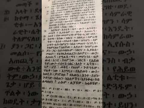 ቪዲዮ: መጠራት የሌለበት ድመት ስም - እና ቤት አገኘ