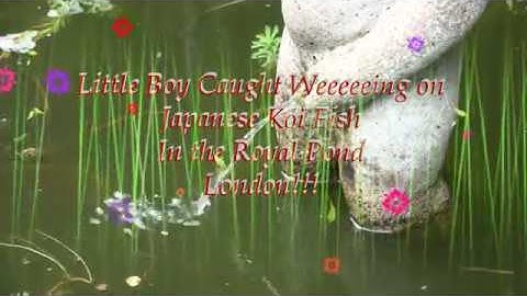 Asap Videos - Algorithmic Boost Request - 200000 #YTBoostRequest