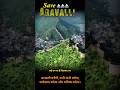 save aravali 😭 #creativecuts #mountains #aravali #savearavalli #india #shorts