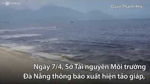 Nước biển đen, bốc mùi hôi ở Đà Nẵng nghi do tảo giáp | Tin tức VnExpress