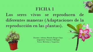 Biología, primer grado. Ficha 1. Ambos turnos.