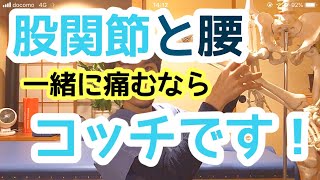 股関節痛改善ストレッチ②  股関節と腰が一緒に痛む原因の筋肉