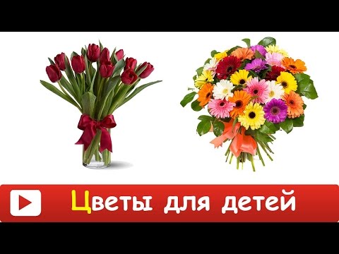 Обучающий Мультик Для Детей Про Цветы, Растения. Учим Цветы