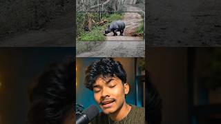 🌿 Why Assam Is So Special? Watch This! | #Shorts #facts #assam