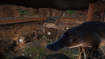 Platypus Habitat | Planet zoo Speedbuild