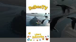 Why Do Birds Fly South for Winter  Fun #facts  for Kids #shorts #shorts
