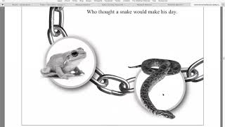 Reading Poetry Lesson- Two Chains Poem Actualización