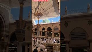 Prophet Muhammad (SAW) Green Dome - Gumbad-e-Khazra #shorts #gumbadekhazra #masjidnabawi #madina