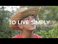Live a simple life   finding meaning and freedom