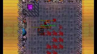Tibia Arena Warlord Wellington