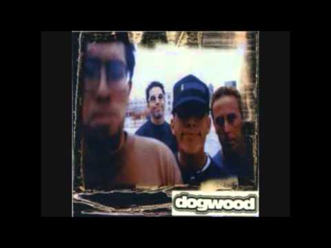 Dogwood - Spotted Spoons