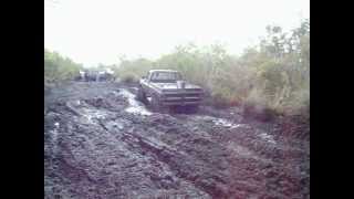 3-17-13 Outback Canaveral Groves