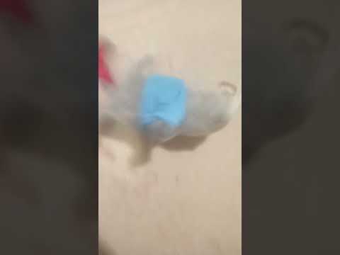 Басики из Вайолинленда - YouTube