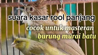 Download Lagu masteran yg d cari kusus burung fikter Download Lagu masteran yg d cari kusus burung fikter
