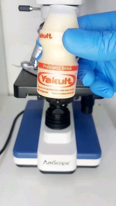 🤯Inside Yakult Probiotic Drink 🤯 #microscope #amscope #science #biology