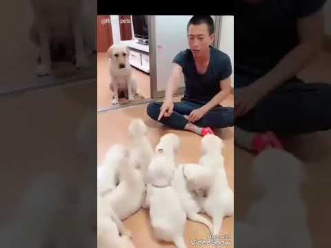 الأم هي احن عليكي من نفسك اين انتو من برهم