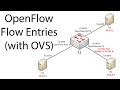 OpenFlow flow entries on Open vSwitch (OVS)