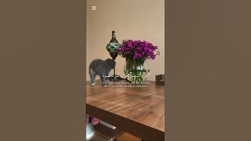 تلاوة هادئة تريح الأعصاب 😌🤍