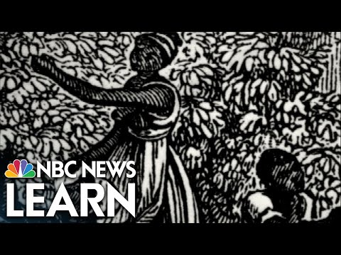 Video: Waarom heeft slavernij de contractuele dienstbaarheid overgenomen?